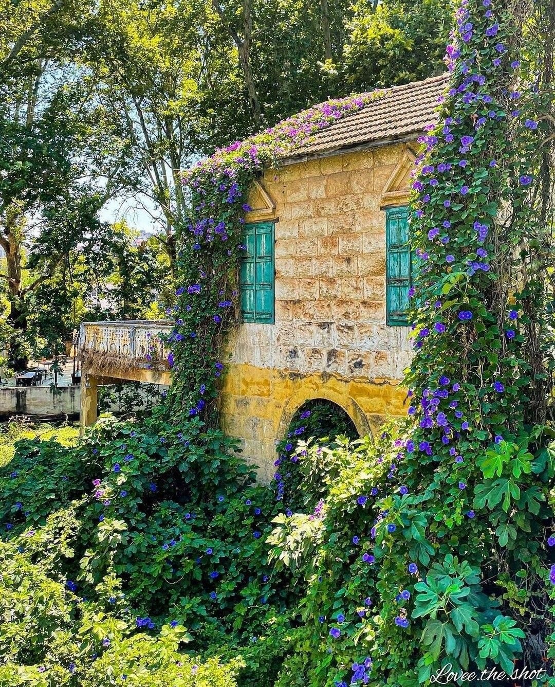 Zgharta