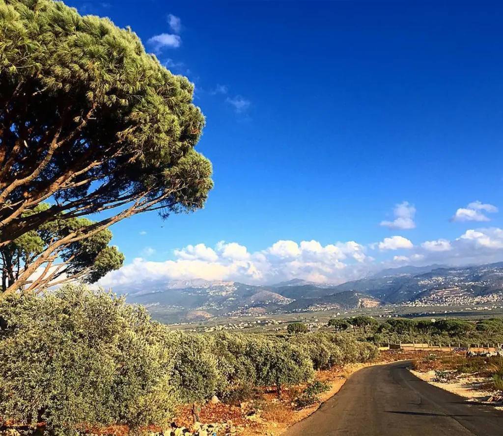 Touristic Agriculture land in Koura lebanon