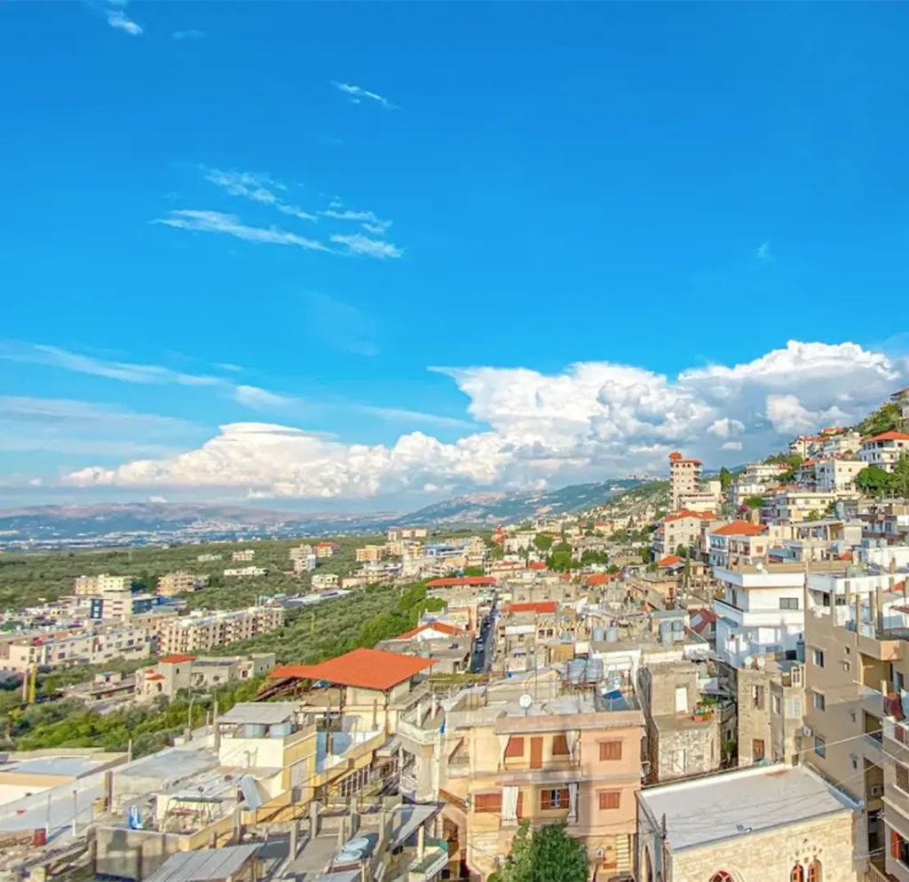 Types of Agricultural Land in Koura
